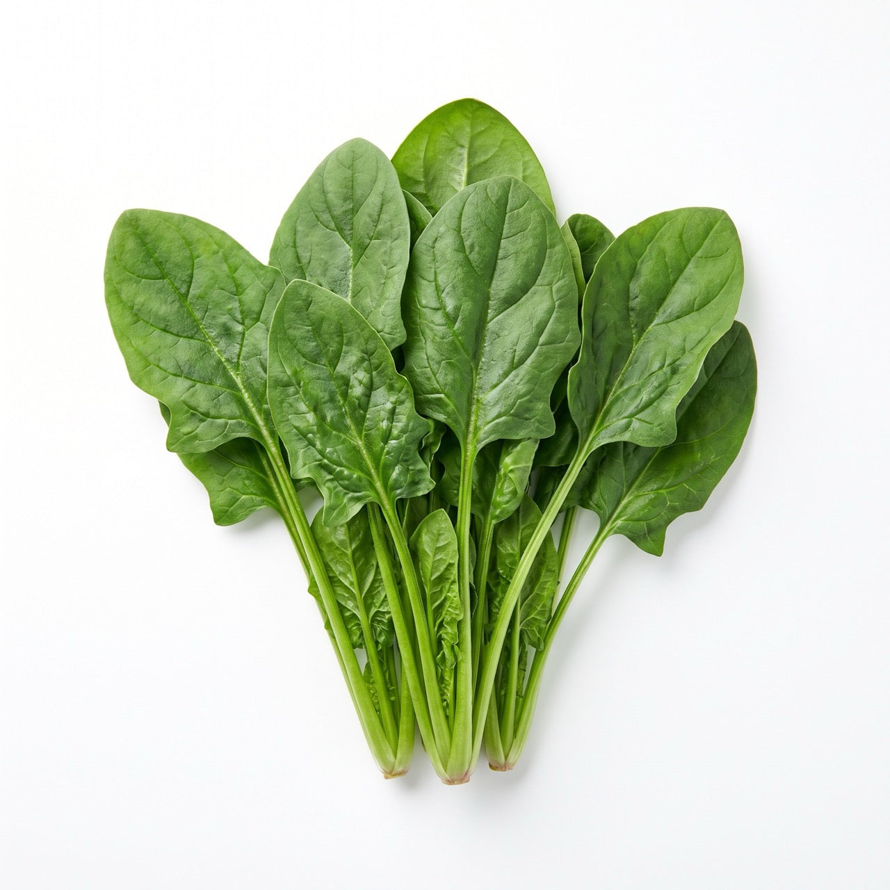 Vitamin-B-Complex